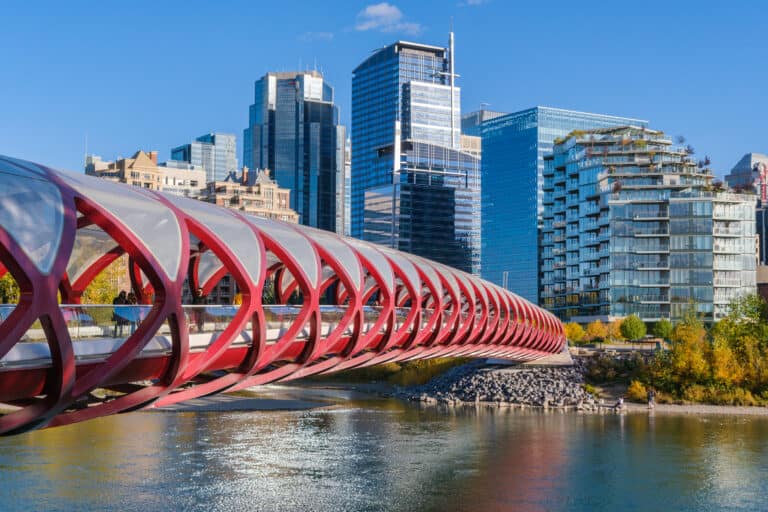 Peace Bridge and Calgary skyline in the Autumn season